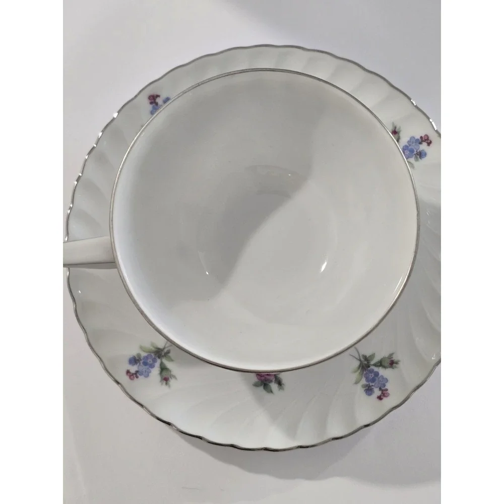 Vintage Royal Tettau Dresden Flowers Platinum Trim Footed Cup & Saucer